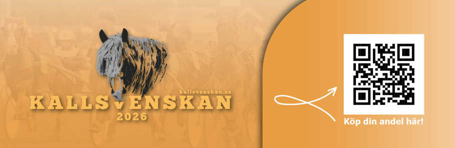 kallsvenskan andelar